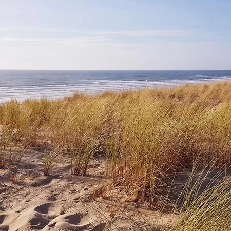 Maison De Vacances Dunes & Canopee - Lacanau-Ocean Nyaraló *